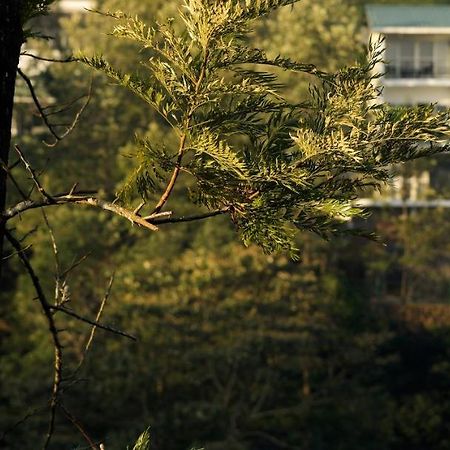 Falcon Crest Вагамон Экстерьер фото
