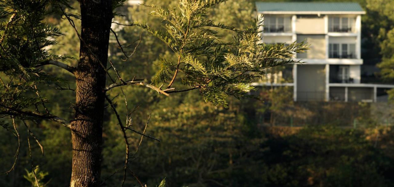 Falcon Crest Вагамон Экстерьер фото